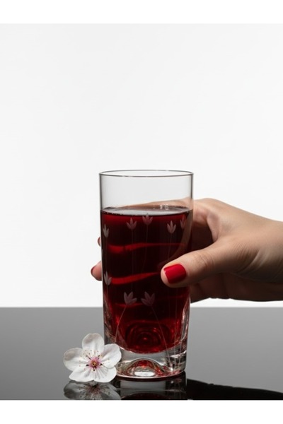 DECOSTYLE Pasabahce Decorated Tulip Holiday Glass Soft Drink 375 Cc Set of 2