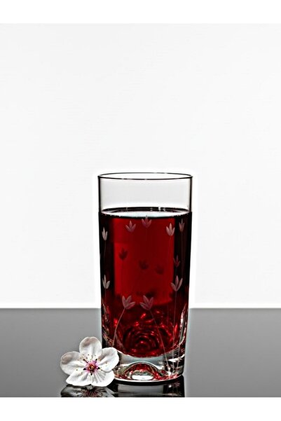 DECOSTYLE Pasabahce Decorated Tulip Holiday Glass Soft Drink 375 Cc Set of 2