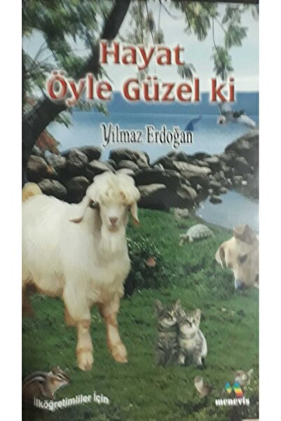 Afa Yayınları Hayat Öyle Güzel ki