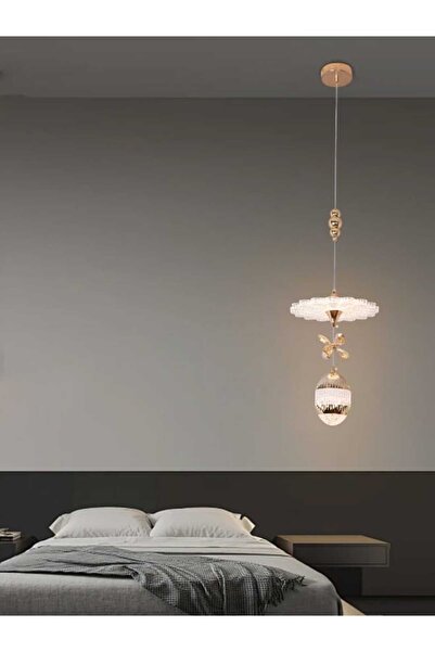 best power Modern LED Round Ceiling Chandelier Light 9868 — 25W, 25cm, Adjustable 100cm Cord