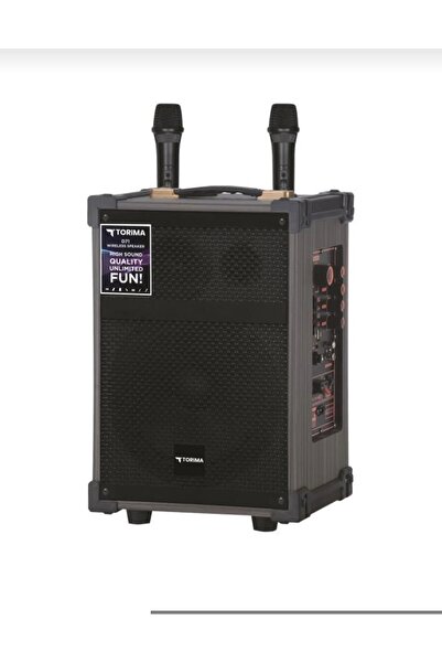 ErginGroup Çift Mikrofonlu Radyo Bluetooth SD USB Bass Taşınabilir Şarjlı Por...