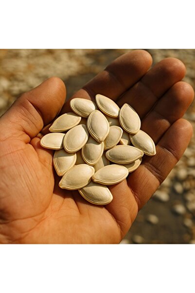 A KALİTE Nevşehir Çerçeveli Çiğ Kabak Çekirdeği 500 gr