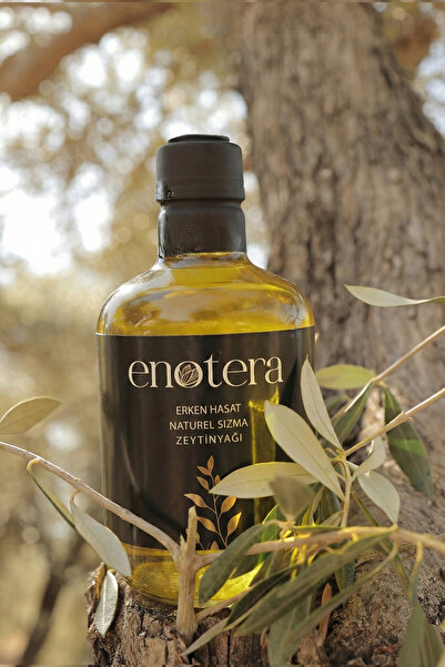 ENOTERA COMPANY Erken Hasat Naturel Sızma Zeytinyağ