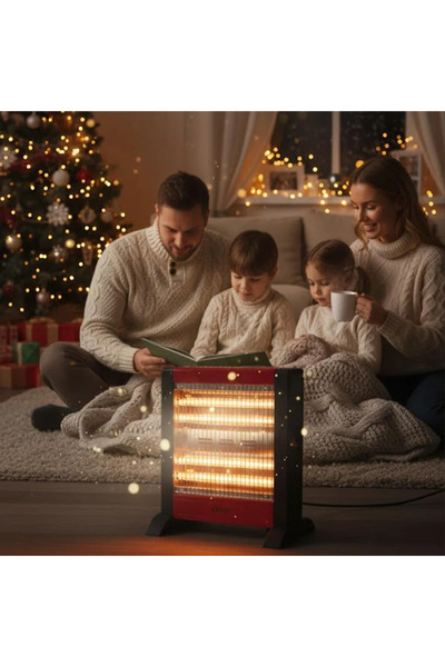 Denx DX2636 1200W Electric Heater with Fast Heating, Safe and Easy to Transport