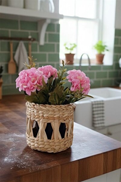 afralya home Кошик для кактусів, декоративний плетений кошик, підвісний кошик...