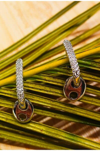 Monalisa Home Steel Stone Silver Color Earrings