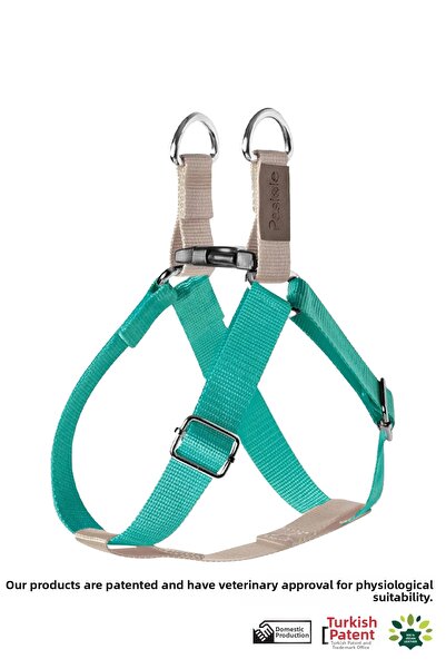 pasiole طوق للكلاب، طوق للحيوانات الأليفة، قابل للتعديل، طوق متين للكلاب