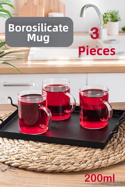 DORRY HOME 3-Piece Borosilicate Heat-Resistant Glass Tea Cup with Handle Coff...