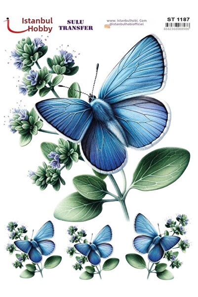 İstanbul Hobi Water Transfer Paper 25X35Cm St-1187