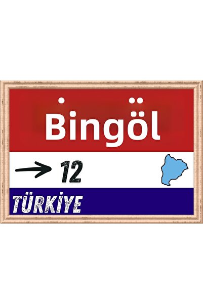 Özcan Tasarım Pictură Bingöl - Pictură Retro