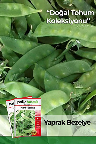 Patika Botanik 50 Adet Yaprak Bezelye Tohumu