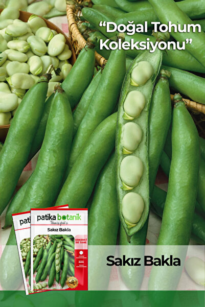 Patika Botanik 40 Adet Ata Tohumu Yerli Sakız Bakla