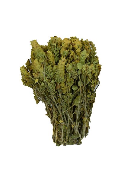 LokmanAVM شاي الشيح الطبيعي من جزيرة الجبل، شاي الشيح من منطقة البحر الأبيض المتوسط، 100 جرام