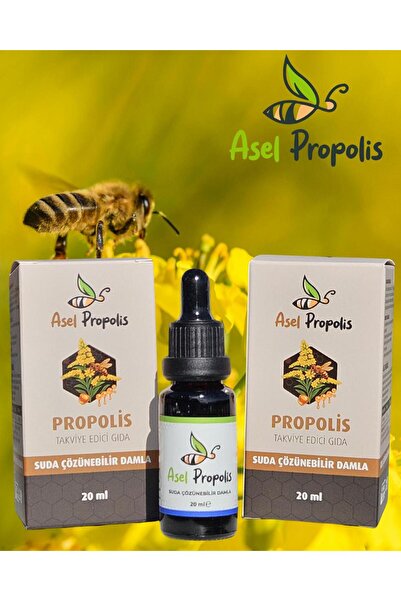 Asel Propolis Suda Çözünür Propolis Damla 20 ml