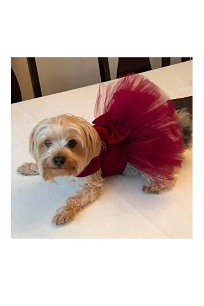 SSMEDIA Festive Dress for Small Dogs/Puppies, Cats or Other Pets - RED