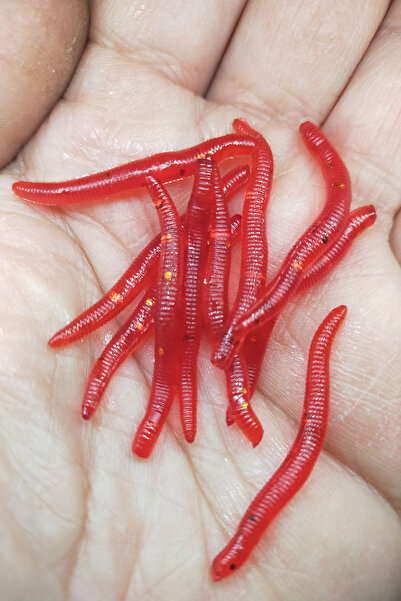 SAZAN RİG Kırmızı  Kurtçuk  Görünümlü  Solucan   10 Adet