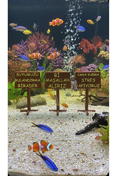 baskıhome3d Akvaryum Tabela Dekoru 3'lü - 1 Akvaryum Tabela Dekoru 3'lü