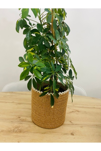 HLM TEKSTİL Hasır Saksılık, Düzenleyici Sepet, Oyucak Sepeti 25x25