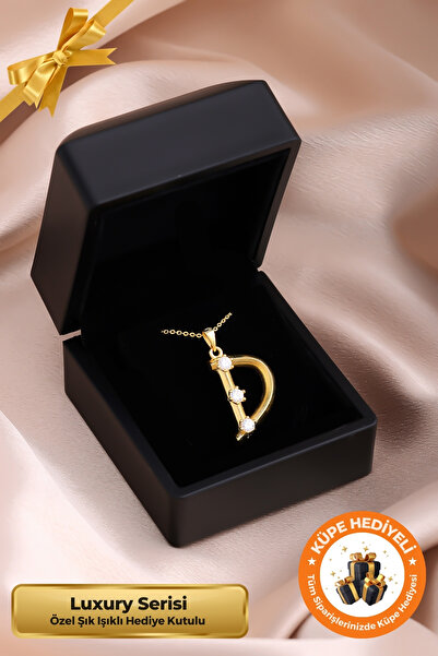 Lucente Jewellery Işıklı Hediye Kutulu D Harfi 925 Ayar Gümüş Kaplama Harf Se...