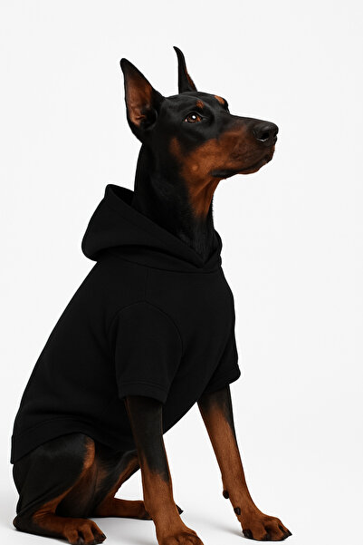 Yumuşak Tüylü Patiler Cat - Dog Outfit Black Hoodie - Large Breed