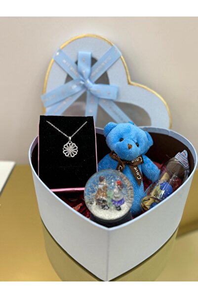 SUMMER GIFT Sevgiliye Özel Kalpli Kutu Hediye - Kararmaz Çelik Kolye - Peluş ...