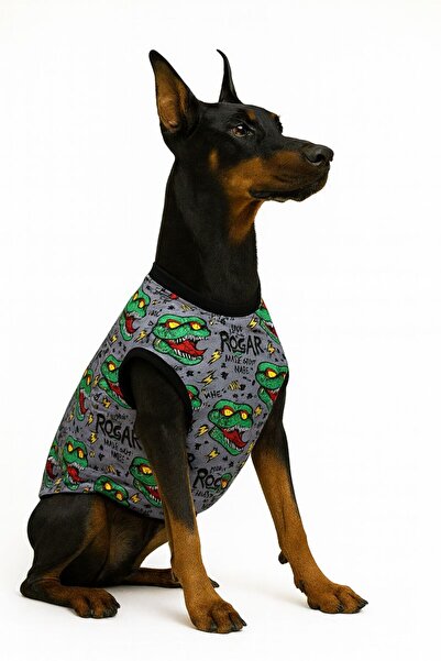 Yumuşak Tüylü Patiler ملابس منقوشة على شكل ديناصور للقطط والكلاب - سلالة كبيرة