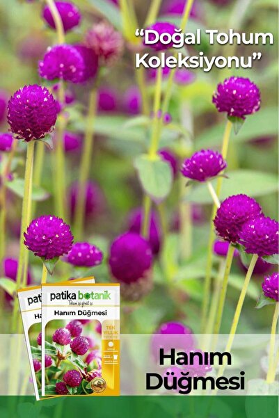 Patika Botanik 20 Adet Hanım Düğmesi Tohumu