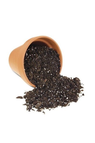 Mimoza Özel Karışım Vitaminli Sukulent Toprağı 5 Kğ