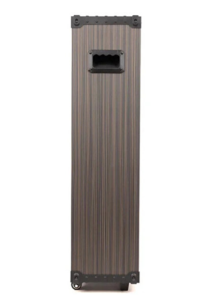 Blackbird Game Center Hepu Hp-933 100W 2 Bluetooth Mikrofonlu Büyük Boy Parti Hoparlörü