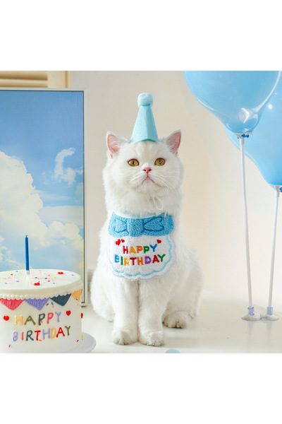 Choice طقم عيد ميلاد أزرق مكون من قطعتين للقطط والكلاب، يتضمن وشاحًا وقبعة، و...