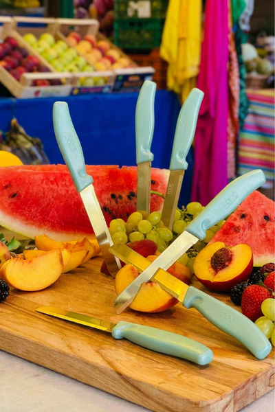 Rooc Set of 6 Ultra Sharp Serrated Blades, Water Green, 22 cm 100% Guaranteed Stainless Steel