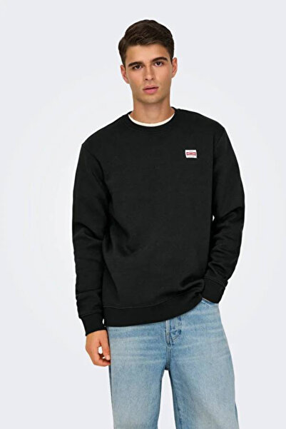Only & Sons Onsdawson Reg Crew Vd Erkek Sweat 22033193