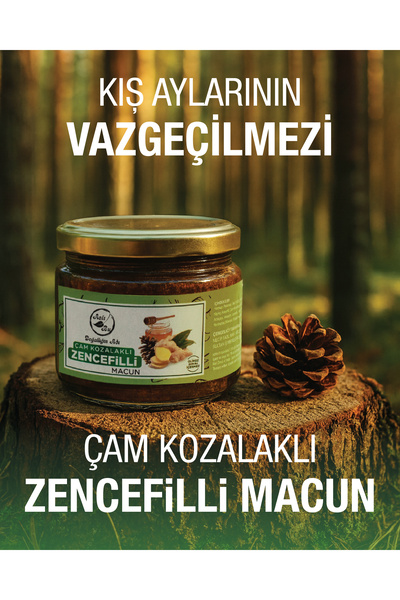 Aslı Bu Kozalak Macunu Çam Kozalaklı Zencefilli Macun