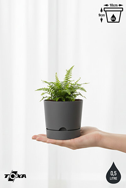 ToXA 0.5 Litre Gri Begonya Saksı Küçük Boy Tabaklı Dekoratif Mat Plastik Saksı