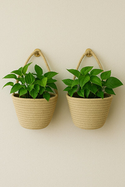 ÖRGÜM أصيص زهور صناعي مكون من قطعتين مقاس 12 × 10 سم، لا يشمل أدوات النباتات ...