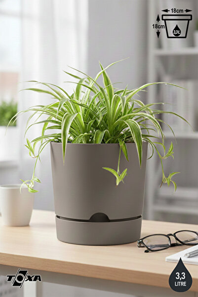 ToXA 3.3 Litre Bej Begonya Saksı Tabaklı Dekoratif Mat Plastik Saksı