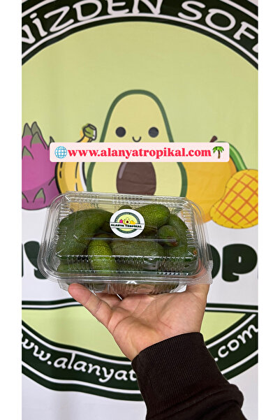 Alanyatropikal BEBEK AVOKADO(2KG ÇEKİRDEKSİZ)