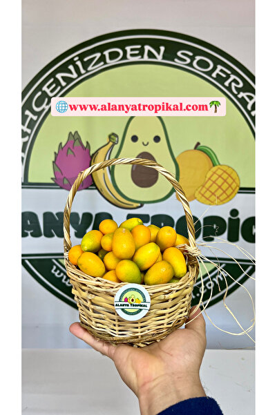 Alanyatropikal KUMKUAT(500GR)