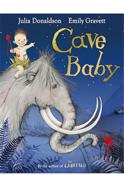 PHINDBOOKS طفل الكهف بقلم جوليا دونالدسون