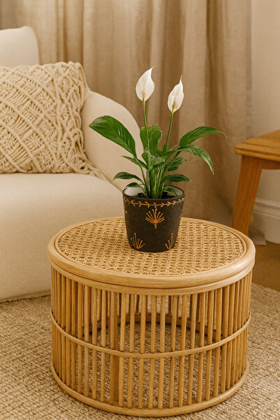 HİZ ART DECORATİON VAZO