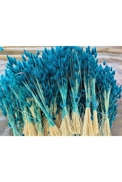 EMG DEKOR Yerli Pamuk Otu Çiçek Buketi