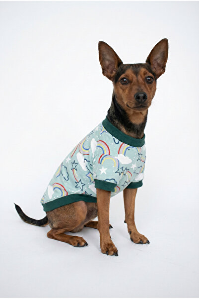 NobleDog تي شيرت للكلاب من القطن بنمط قوس قزح وسحاب باللون الأخضر النعناعي - ...