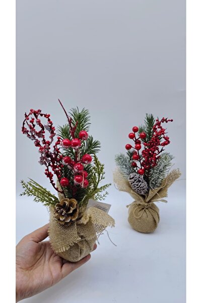 Hane216 Dekoratif Skulent Kokina Çiçeği 23 Cm Yılbaşı Masa Üstü Çam Ağacı