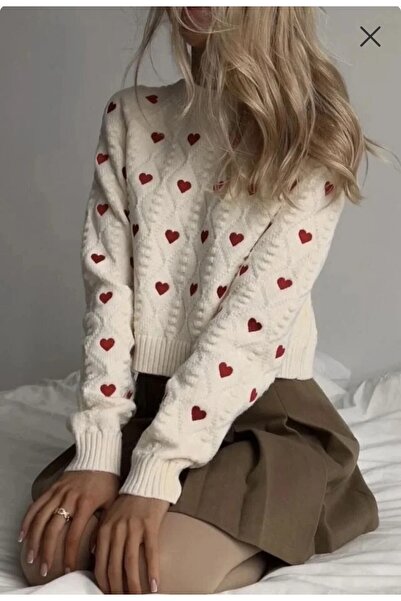 trivvy Women's embroidered sweater