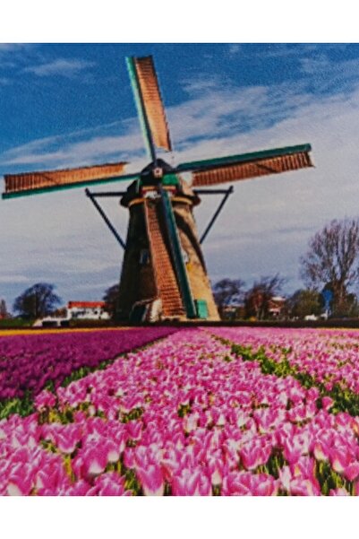 mentaş grup Diamond Painting Beaded Tapestry Mosaic Puzzle Crystal Stone Board 40X30 Kit Full Set