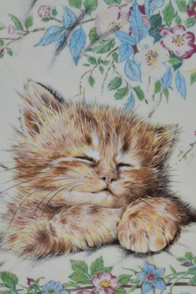 ABBETC Vintage 1985 Royal Worcester Crown Ware First Edition Kitten Classics Cat Sleep Wall Plate 21cm