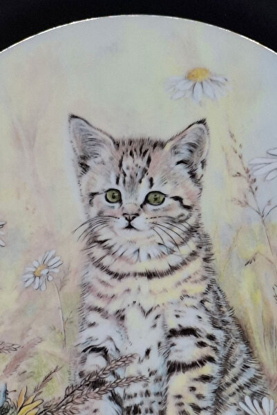 ABBETC 1985 Royal Worcester Hamilton Collection'Tiger's Fancy' Kittens Classics Wall Plate 21 cm