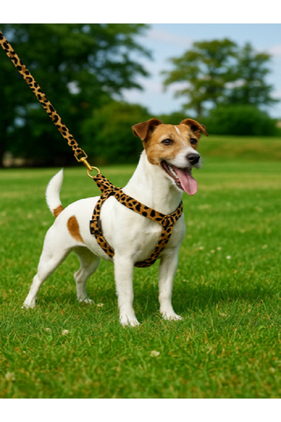 Angelapets KAHVERENGİ LEOPAR DESEN GÖĞÜS TASMASI VE GEZDİRME KAYIŞI SET