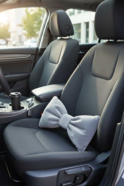 JACA Velvet Fabric Pillow Car Seat Compatible Lumbar Neck Pillow Baby Pillow Decorative Throw Pillow Set (2 Pieces)