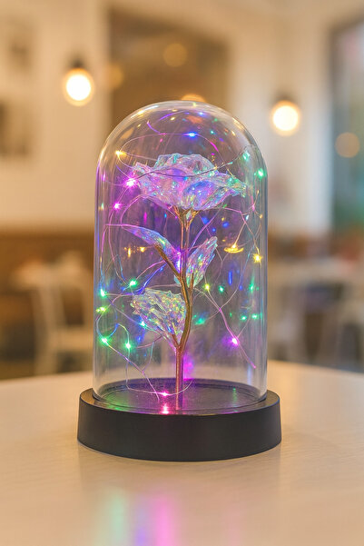 etxShop Sevgililer Yılbaşı Hediye Özel Gün Anneye Hediye Ayıcık Ledli Fanus S...